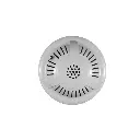 Detector Gas1.webp